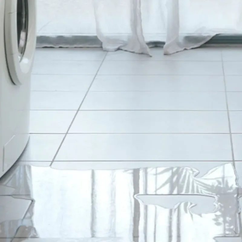 Appliance Leak Cleanup in Silver Springs, FL